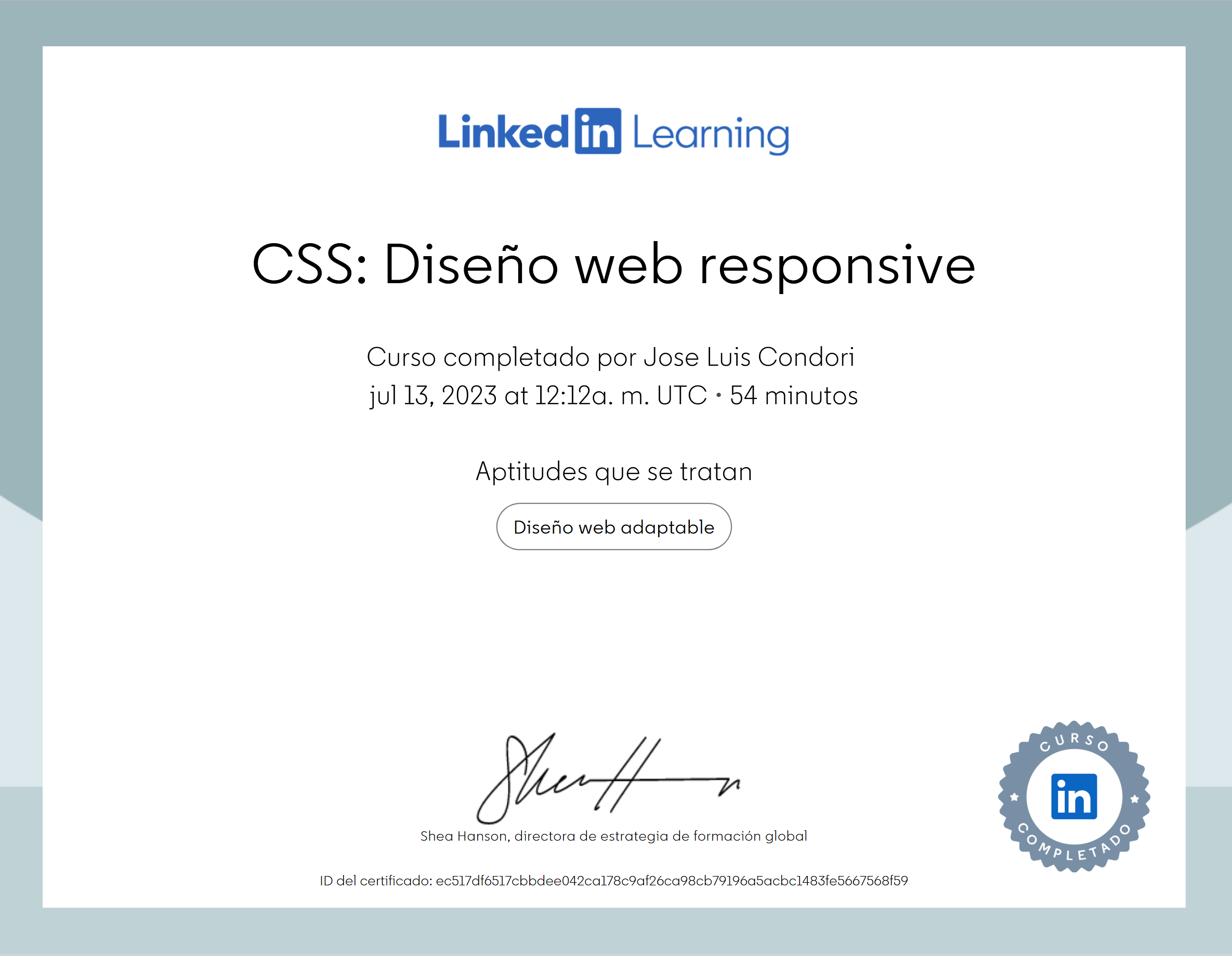 CSS Diseño web responsive
