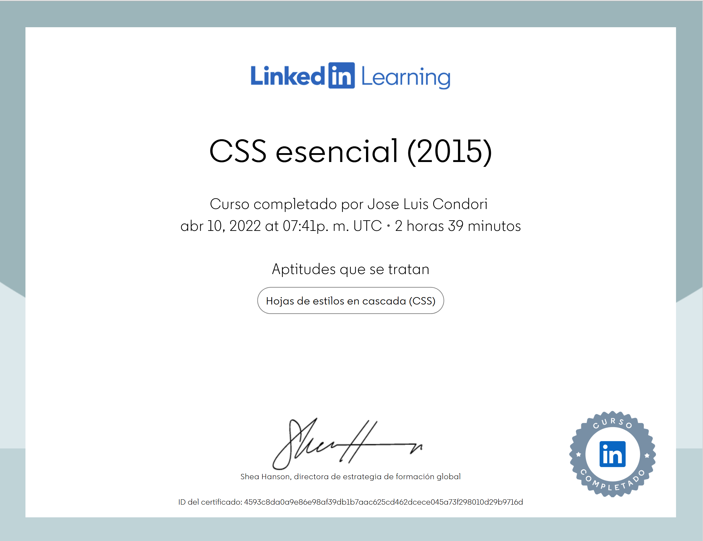 CSS Esencial