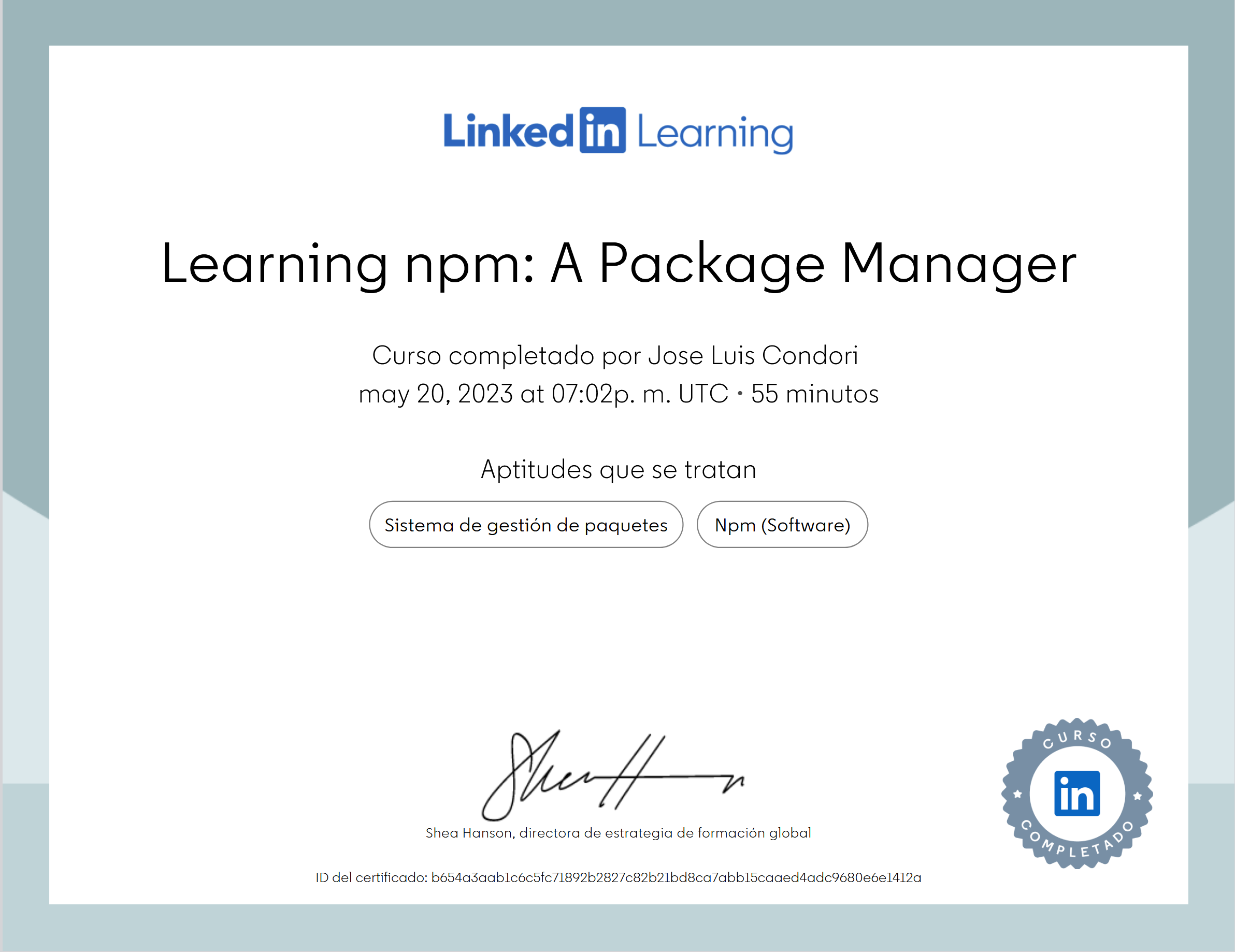 Learning npm A Package Manager
