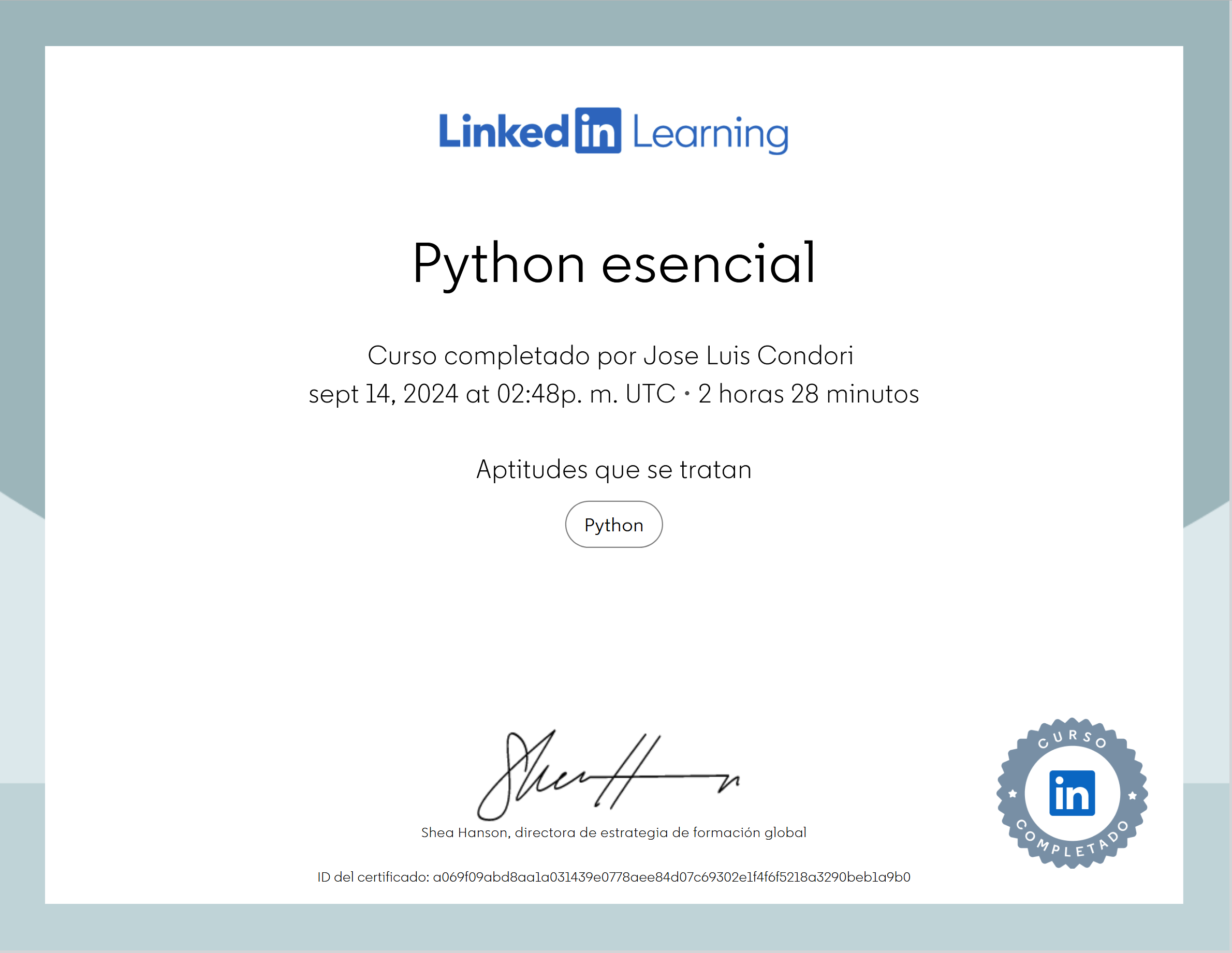 Python esencial