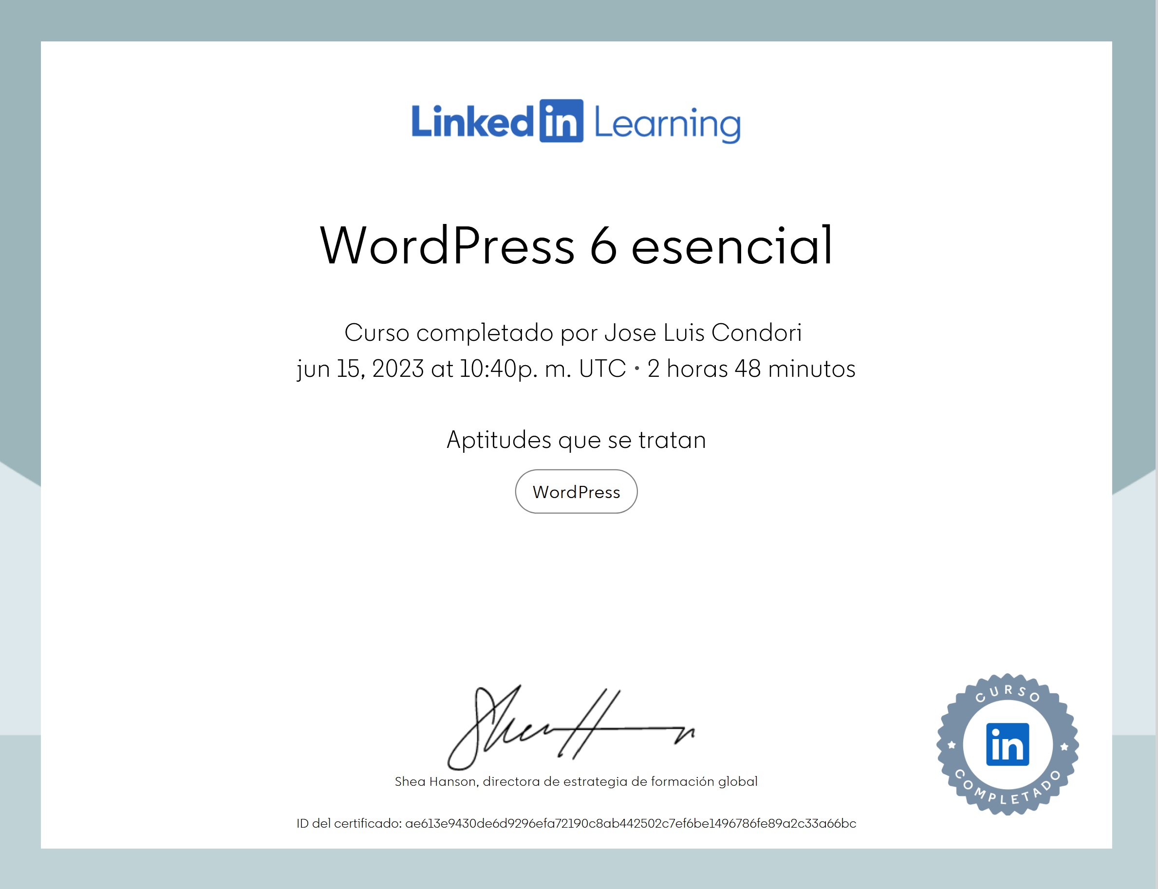 WordPress 6 esencial